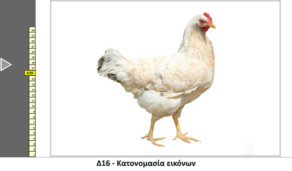 Κατονομασία εικόνων